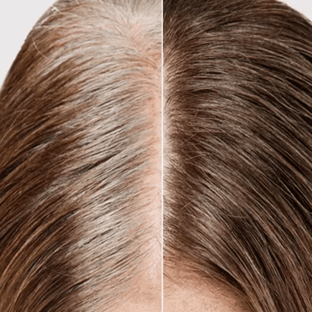 Root Refresh Series at Modern Mane Salon in Athens, GA